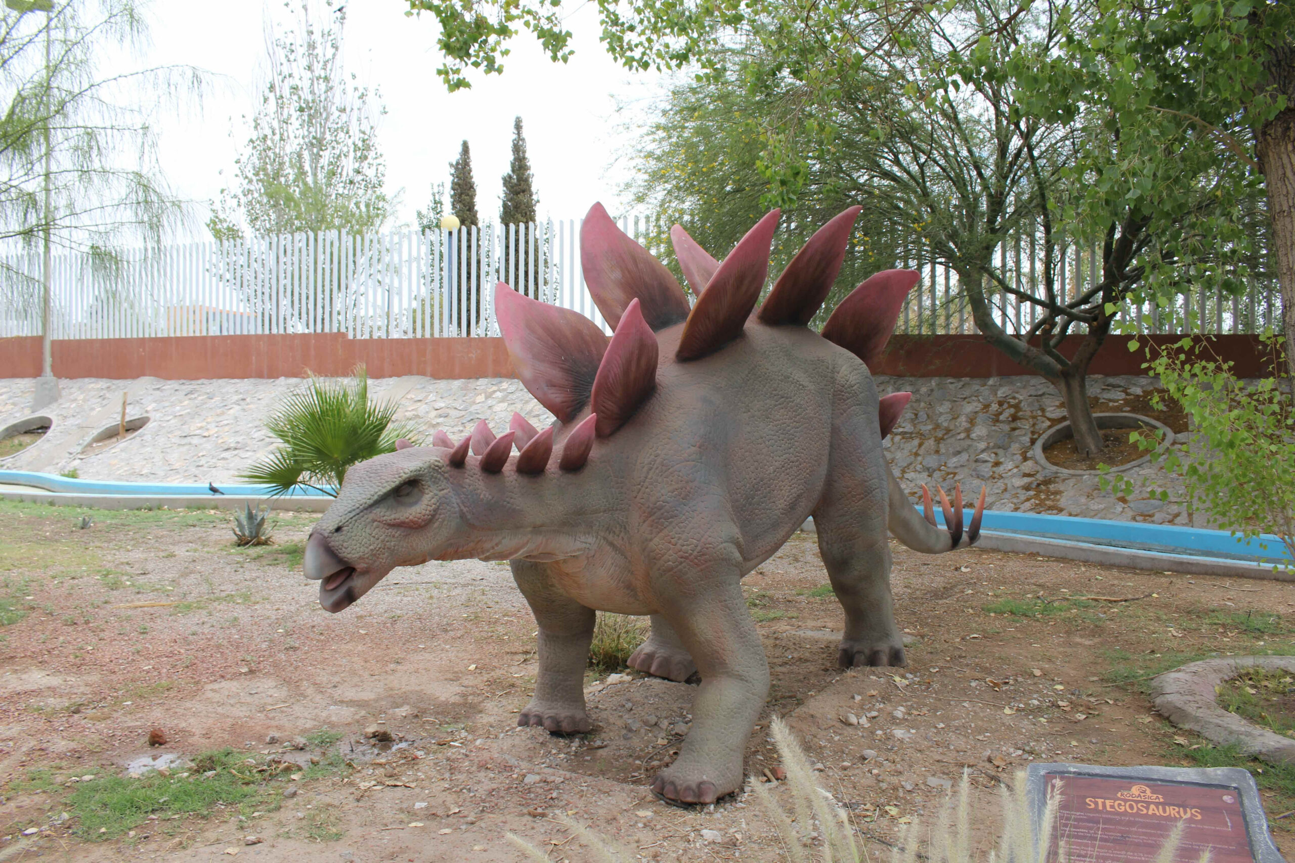 Museo La Rodadora: espacio de esparcimiento para chicos y grandes en Ciudad Juárez