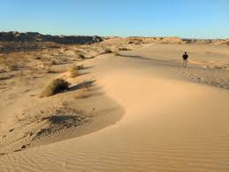 Invita Secretaría de Turismo a vivir la aventura en el “Green Dunas Adventure”