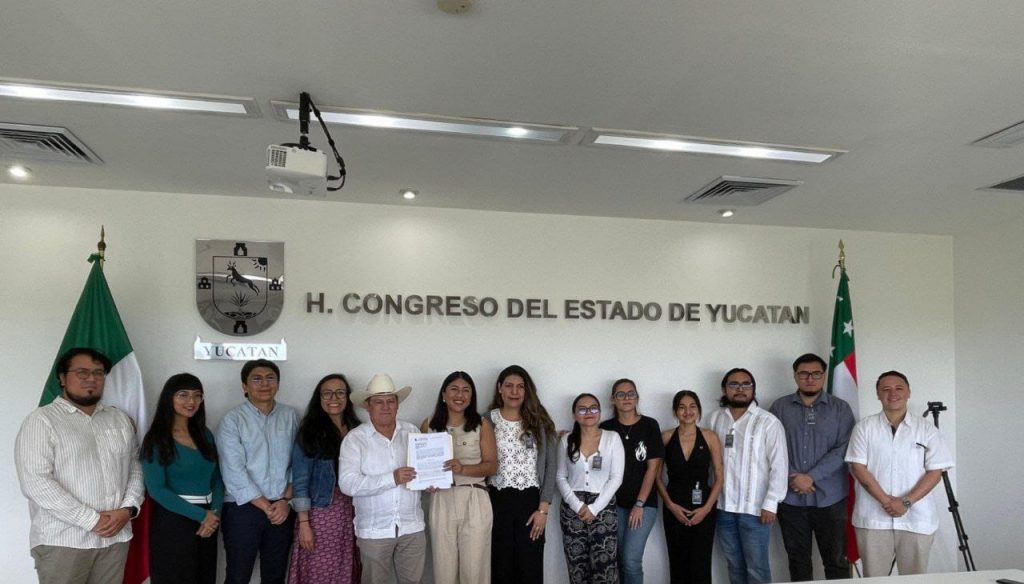 Organizaciones sociales solicitan adecuar la legislación para garantizar el derecho a la libertad de expresión y a la protesta en Yucatán