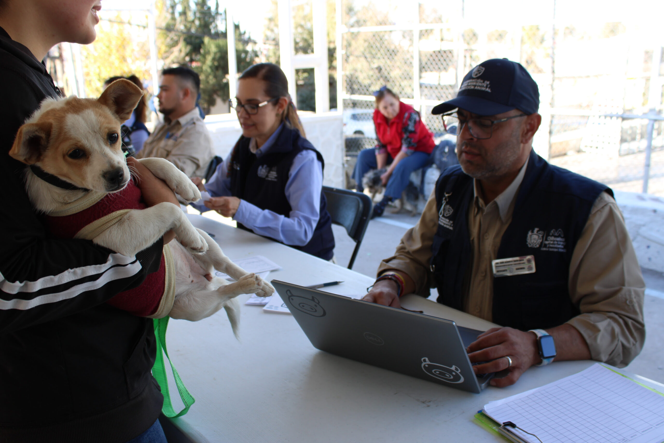 Acerca Municipio servicios gratuitos para animales de compañía en colonia Cerro de la Cruz