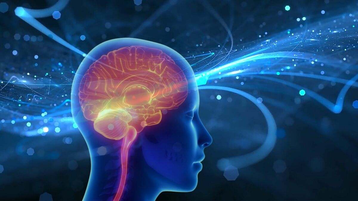Científicos piden que nos preparemos ante lo que está por venir porque afecta a todo el país: «Dos áreas del cerebro trabajan juntas como un reloj de arena.