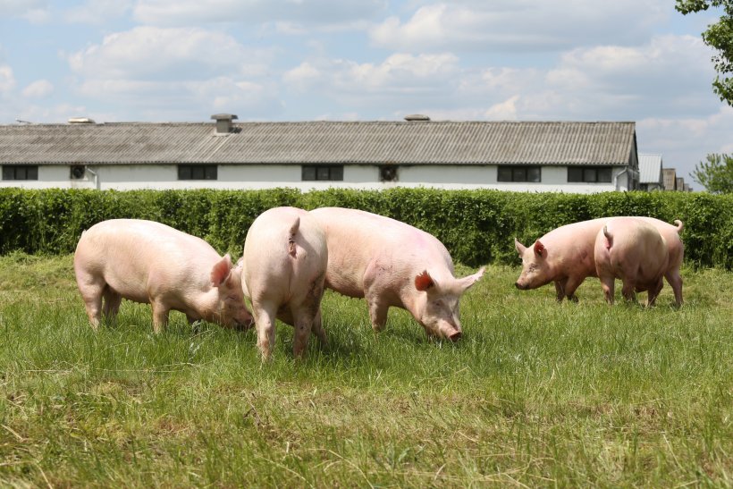 Dinamarca suprime el Ministerio de Agricultura