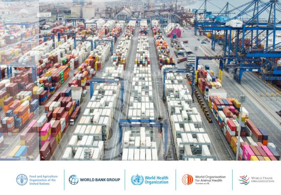 El STDF presenta su informe anual 2025, titulado «Acelerar el comercio seguro: de la innovación a la ampliación a escala»