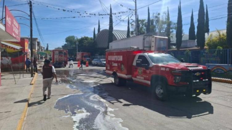 Evacuaron primaria en Hidalgo tras ataque de abejas a estudiantes